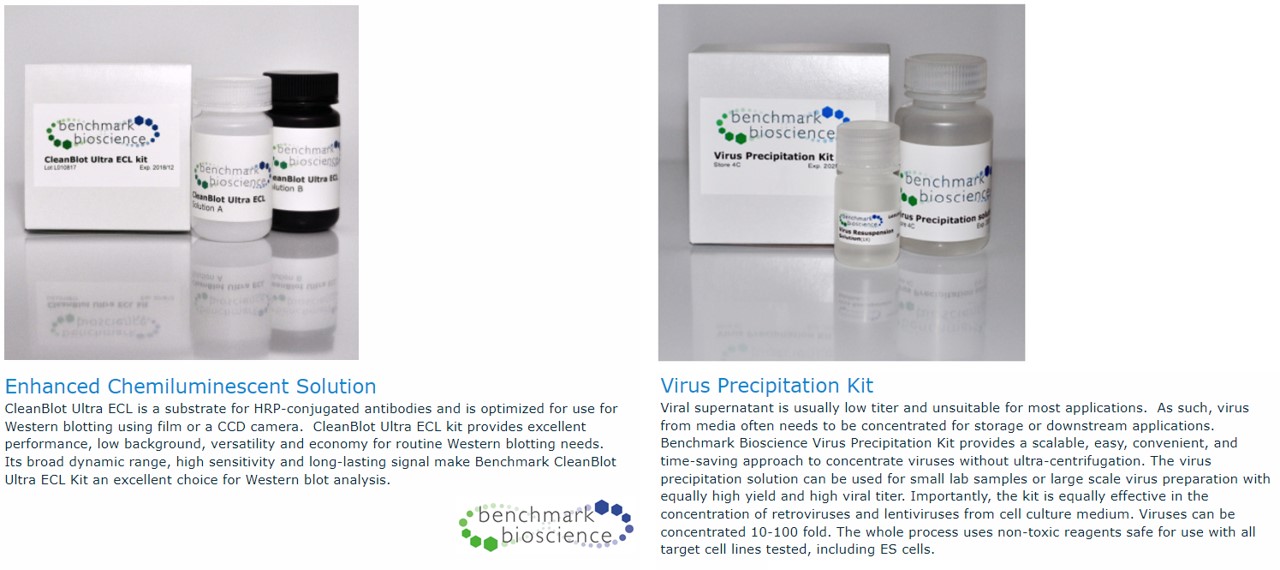 Benchmark Bioscience를 대표하는 이미지