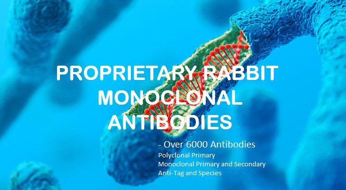 AOBIOUS를 대표하는 이미지