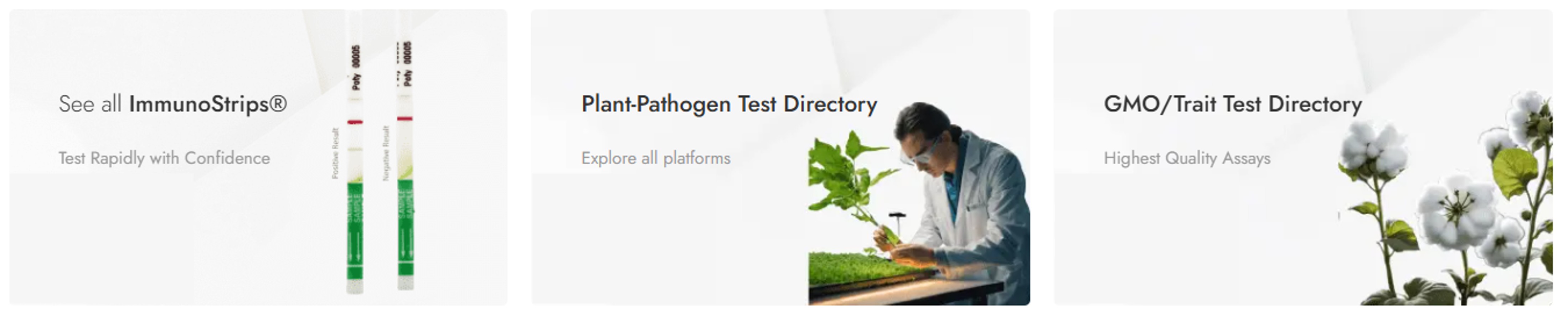 Immunomart를 대표하는 이미지