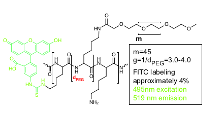USBIO 전문수입및통관 SuSoS Hot Item 1