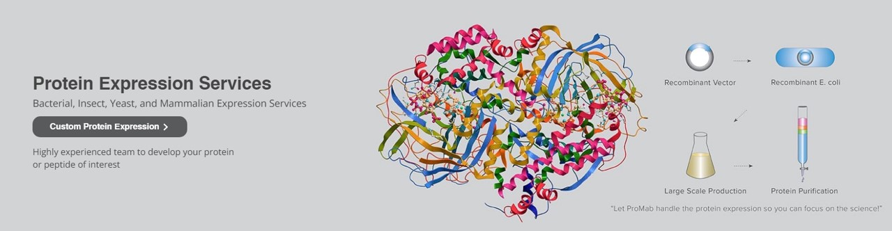 Promab를 대표하는 이미지