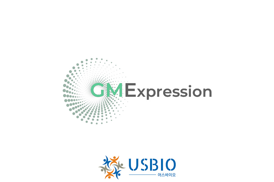 [GMExpression] YCFA Medium (Modified) | For 13L