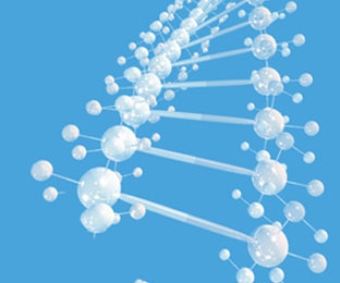 USBIO 한국공식대리점 Biospes Hot Item 1