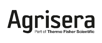 USBIO가 취급하는 Agrisera antibodies 로고