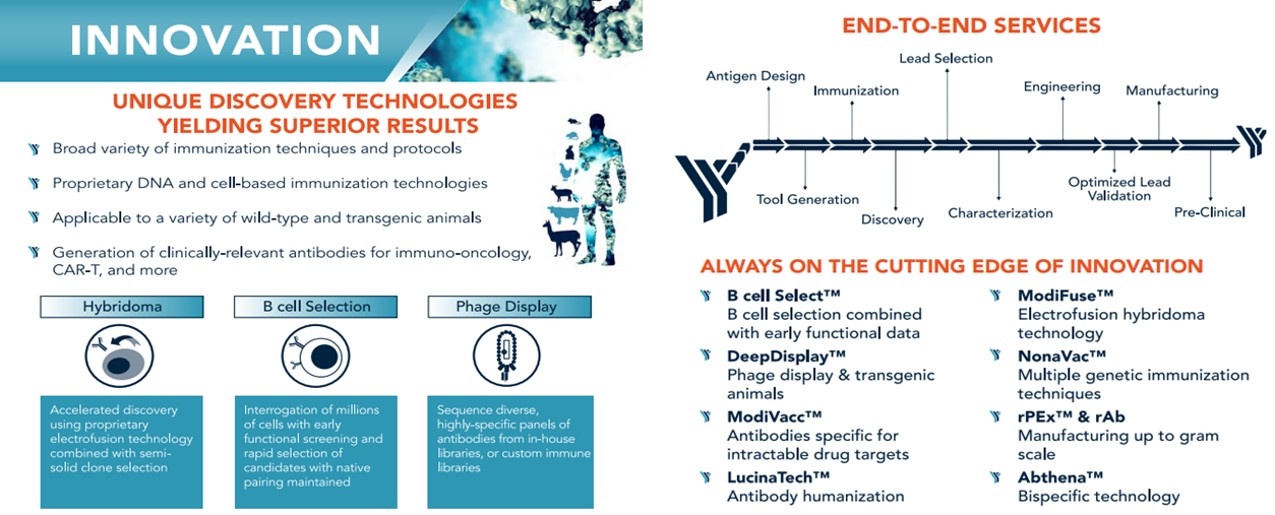 ImmunoPrecise Antibodies를 대표하는 이미지