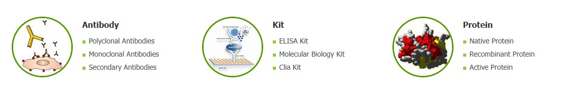 Shanghai YL Biotech를 대표하는 이미지
