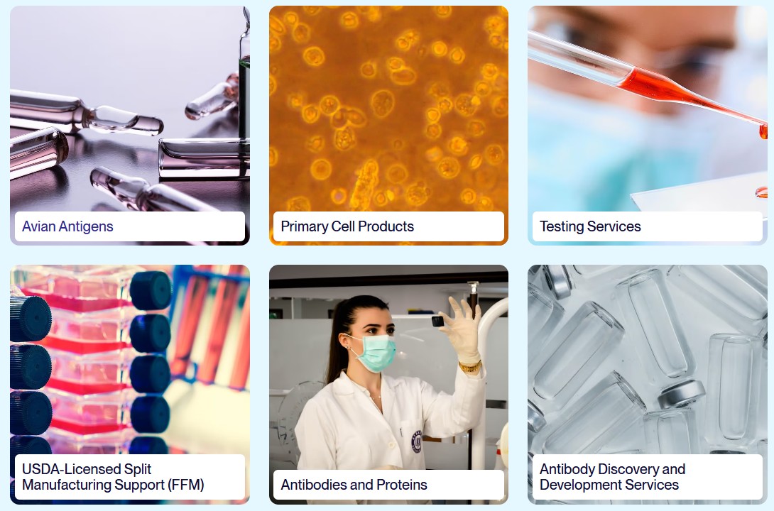 AVS Bio를 대표하는 이미지